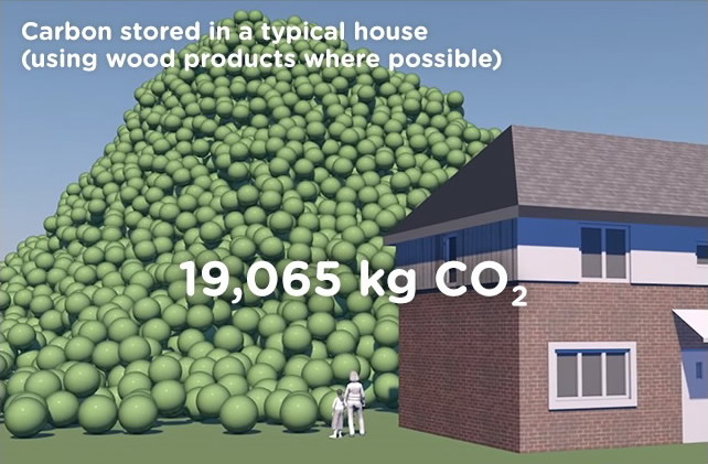 19 Ton CO2